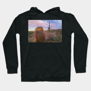 Saguaro And Giant Barrel Cactus With Panther And Safford Peaks In Distance Saguaro National Park Hoodie